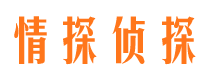 安宁市婚外情调查